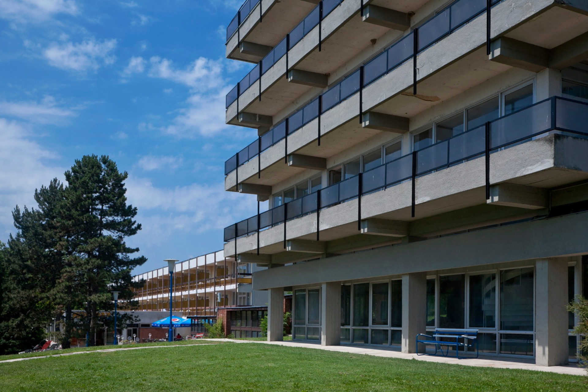 HAMAROSAN: Exkluzív nyári ajánlat!